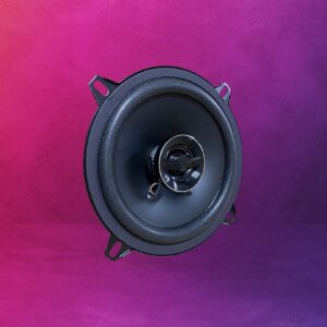 Nakamichi NSF 423 Speaker