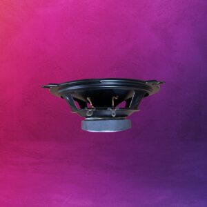 Nakamichi NSF 423 Speaker