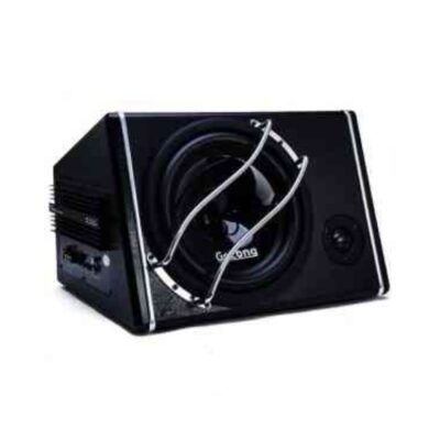 Gelong subwoofer